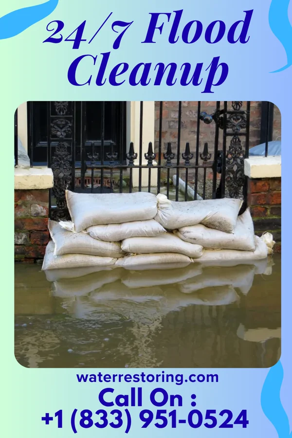 24/7 Flood Cleanup in Buena Vista, MI