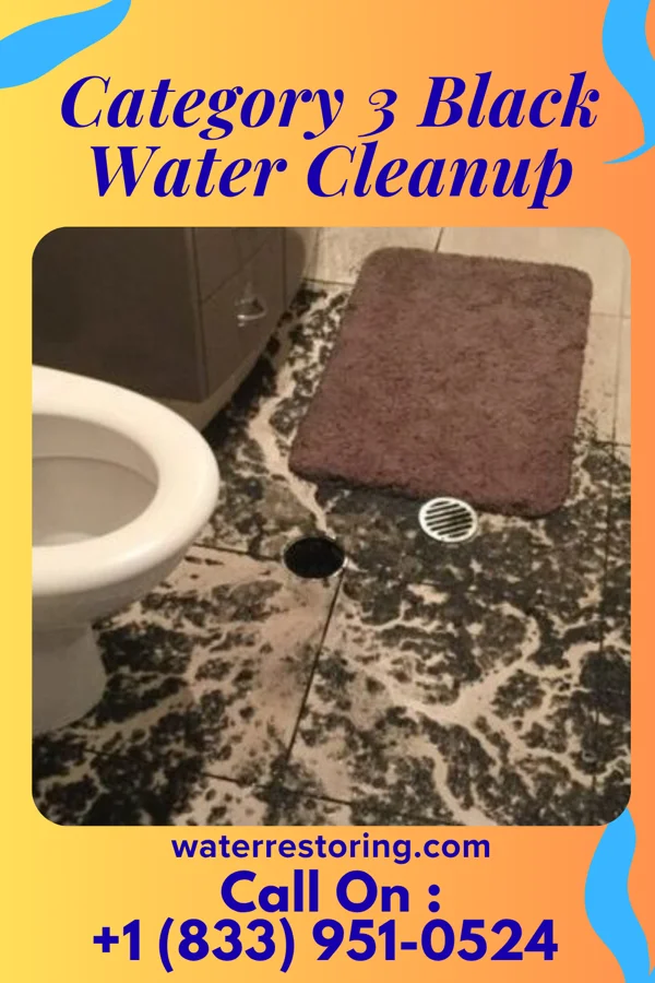 Category 3 Black Water Cleanup in Buena Vista, MI