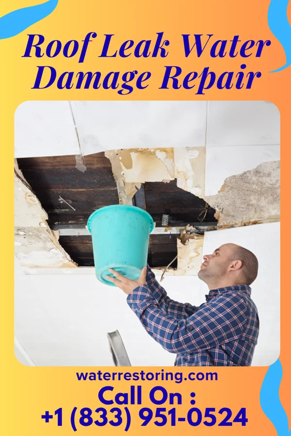 Roof Leak Water Damage Repair in Buena Vista, MI