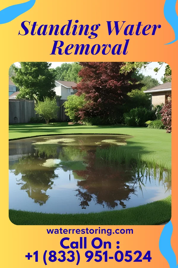 Standing Water Removal in Buena Vista, MI